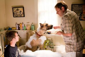 Фото из фильма Мармадюк (2010)