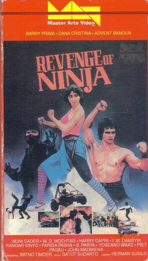 Фото из фильма Месть ниндзя (1987)