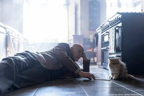 Фото из фильма Мистер Блейк к вашим услугам (2023)