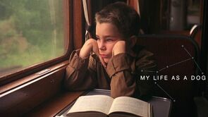 Фото из фильма Моя собачья жизнь (1985)
