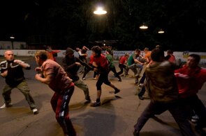 Фото из фильма Муха (2008)