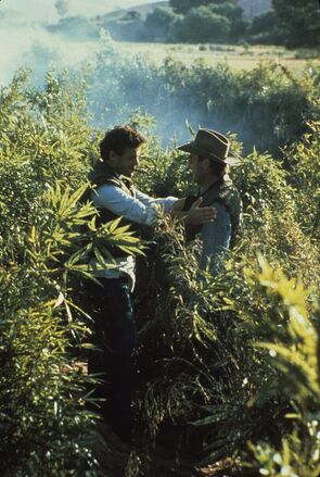 Фото из сериала Нарковойны (1990)