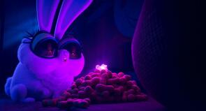 Фото из мультфильма Ночь в зоопарке (2025)
