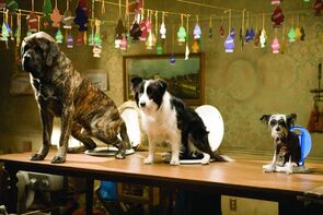 Фото из фильма Отель для собак (2009)