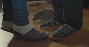 Фото из сериала Отель последней надежды (2016)