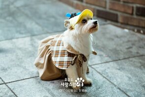 Фото из сериала Отличный день, чтобы стать собакой (2023)
