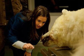 Фото из фильма Оттепель (2009)