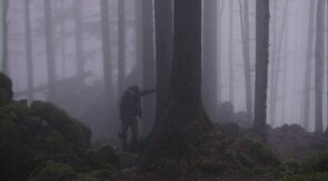Фото из фильма Озеро (2009)