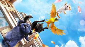 Фото из мультфильма Большой кошачий побег (2018)