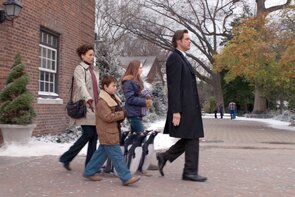 Фото из фильма Пингвины мистера Поппера (2011)