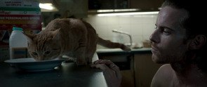 Фото из фильма Уличный кот по кличке Боб (2016)