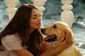 Фото из сериала Пора тюльпанов (2010)