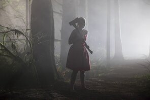 Фото из фильма Последняя девушка (2015)