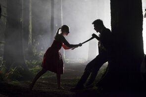 Фото из фильма Последняя девушка (2015)