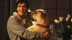 Фото из фильма Правда о кошках и собаках (1996)