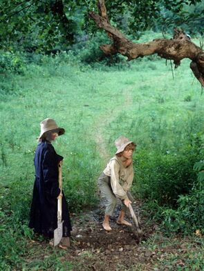 Фото из сериала Приключения Тома Сойера и Гекльберри Финна (1982)