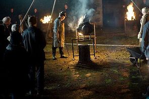 Фото из фильма Пробуждающийся лес (2009)