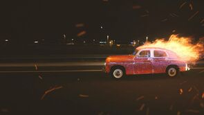 Фото из фильма Птичий язык (2019)