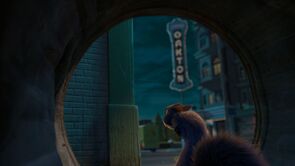 Фото из мультфильма Реальная белка (2014)