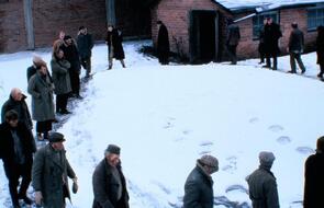 Фото фильма Рожденный американцем 1986.