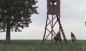 Фото из фильма Семья ван Памель (2004)