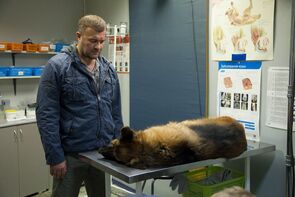 Фото из сериала Сердце ангела (2016)