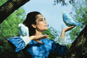 Фото из фильма Синяя птица (1976)