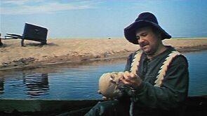 Фото из фильма Сказка, рассказанная ночью (1981)