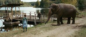 Фото из фильма Слон (2012)