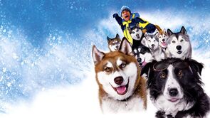 Фото из фильма Снежные псы (2002)
