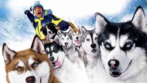 Фото из фильма Снежные псы (2002)