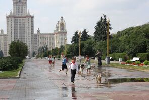 Фото из фильма Собачий рай (2014)
