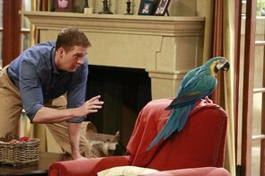 Фото из сериала Собака точка ком (2013)