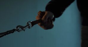 Фото из фильма Статус (2023)