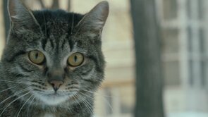 Фото из фильма Страна хороших деточек (2013)