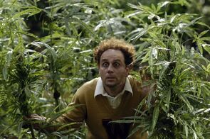 Фото из фильма Сумасшествие вокруг марихуаны: Киномюзикл (2005)