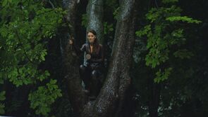 Фото из фильма Таймлесс 3: Изумрудная книга (2017)