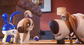 Фото из мультфильма Тайная жизнь домашних животных 2 (2019)