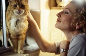 Фото из фильма Тайны заблудших душ (2005)
