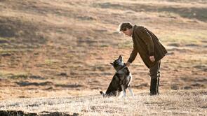 Фото из фильма Того (2019)