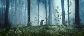 Фото из фильма Третий день (2022)