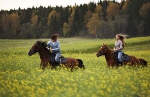 Фото из фильма Цветок дьявола (2010)