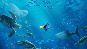 Фото из мультфильма В поисках Дори (2016)