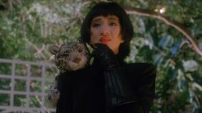 Фото из фильма Величайший любовник (1988)