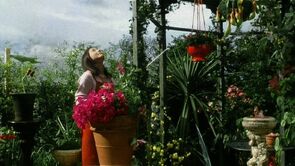 Фото из фильма Висячий сад (2005)