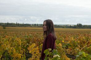 Фото из фильма Возвращение в Бургундию (2017)