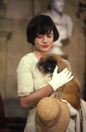 Фото из сериала Возвращение в Брайдсхед (1981)