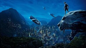 Фото из фильма Чёрная Пантера (2018)