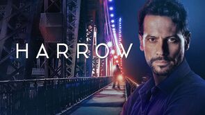 Фото из сериала Доктор Хэрроу (2019)