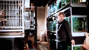 Фото из фильма Змеиный яд (1981)